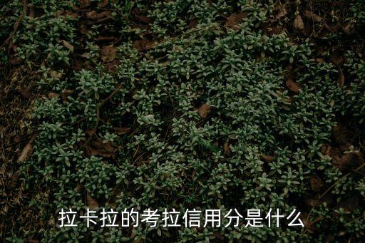 拉卡拉的考拉信用分是什么