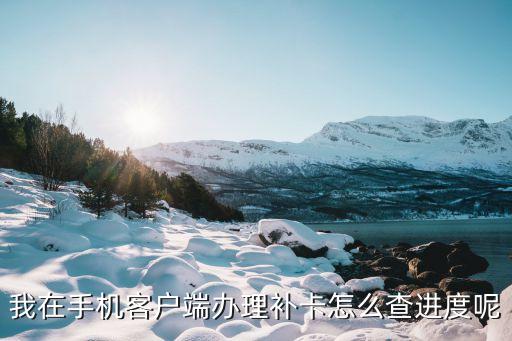 我在手機(jī)客戶端辦理補(bǔ)卡怎么查進(jìn)度呢