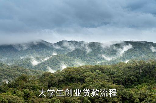 大學生創(chuàng)業(yè)貸款怎么做反擔保，大學生創(chuàng)業(yè)貸款流程