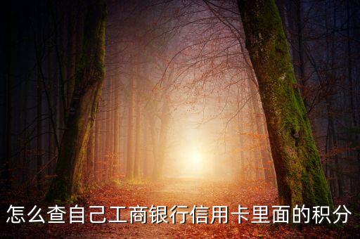 怎么查自己工商銀行信用卡里面的積分