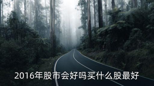 2016年股市會(huì)好嗎買什么股最好