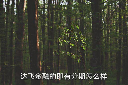 達(dá)飛金融的即有分期怎么樣