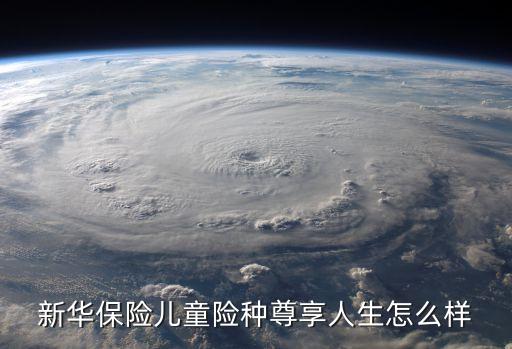 新華保險兒童險種尊享人生怎么樣