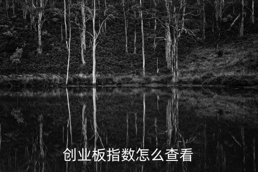 創(chuàng)業(yè)板指數(shù)怎么查看