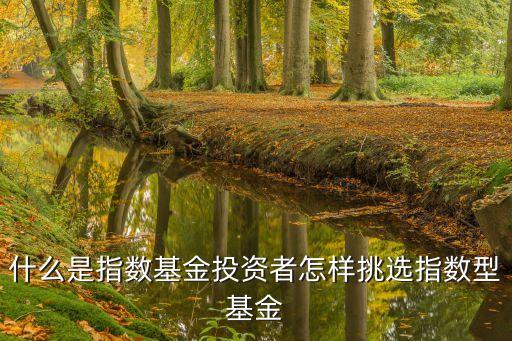 被動指數(shù)型基金怎么選，被動型基金該買哪一只
