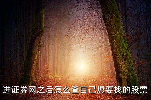 進(jìn)證券網(wǎng)之后怎么查自己想要找的股票