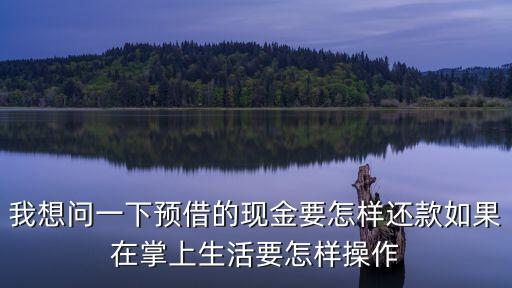 工行預(yù)借現(xiàn)金怎么還，我想問一下預(yù)借的現(xiàn)金要怎樣還款如果在掌上生活要怎樣操作