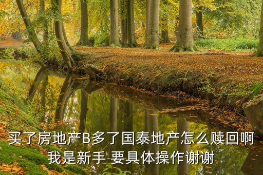 國泰地產(chǎn)怎么賣，我買了房產(chǎn)B的然后他分拆了 就送了個國泰地產(chǎn)的 價格是10 一