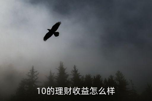 10的理財收益怎么樣