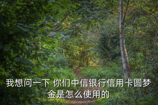 我想問一下 你們中信銀行信用卡圓夢金是怎么使用的