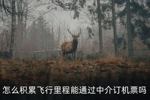 怎么積累飛行里程能通過中介訂機(jī)票嗎