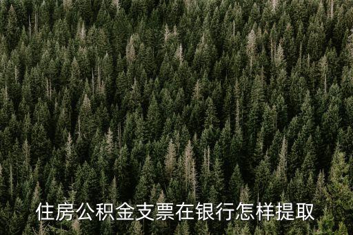 公積金支票怎么用的，交公積金的支票使用問(wèn)題