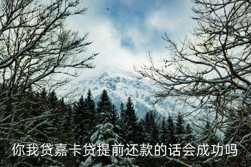 嘉卡貸 怎么提前結清，你我貸嘉卡貸提前還款的話會成功嗎