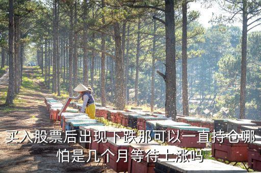 買入股票后出現(xiàn)下跌那可以一直持倉哪怕是幾個(gè)月等待上漲嗎