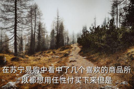 在蘇寧易購(gòu)中看中了幾個(gè)喜歡的商品所以都想用任性付買(mǎi)下來(lái)但是