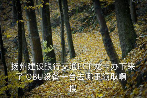 揚(yáng)州建設(shè)銀行交通ECT 龍卡辦下來了 OBU設(shè)備一臺(tái)去哪里領(lǐng)取啊  搜