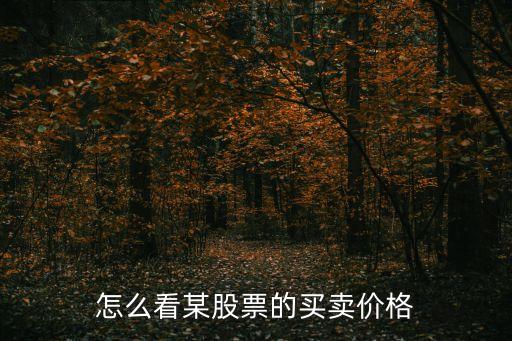 股票怎么看價格，怎么查詢股票價格