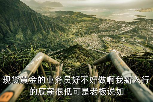 黃金個(gè)人代理怎么樣，有人做黃金外匯代理嗎代理賺錢嗎