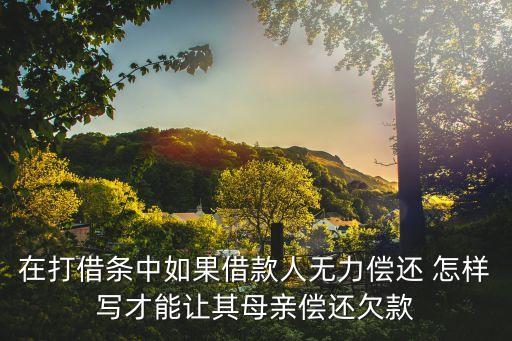 在打借條中如果借款人無力償還 怎樣寫才能讓其母親償還欠款