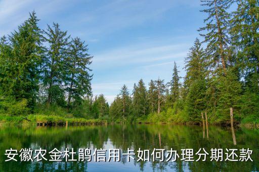 安徽農(nóng)金怎么還信用卡，現(xiàn)金怎么去還信用卡