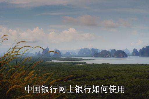 中國銀行網(wǎng)上銀行如何使用