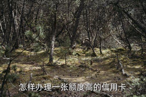 怎樣辦理一張額度高的信用卡