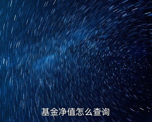 基金凈值怎么查詢(xún)
