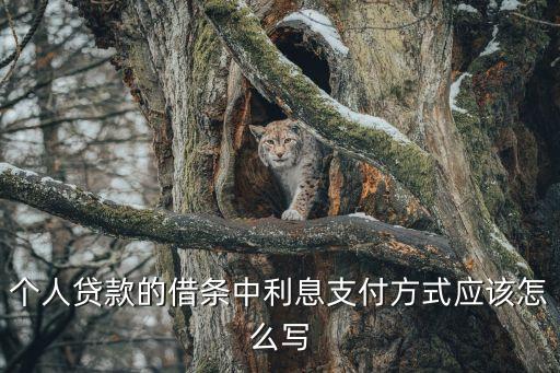 個人貸款的借條中利息支付方式應(yīng)該怎么寫
