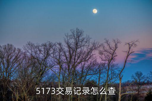 5173怎么查詢訂單，5173怎么查詢自己下的單