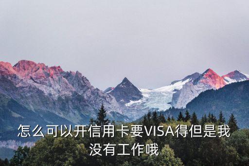 怎么可以開(kāi)信用卡要VISA得但是我沒(méi)有工作哦
