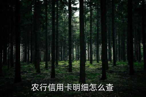 農(nóng)行怎么查名下信用卡嗎，農(nóng)行信用卡明細(xì)怎么查