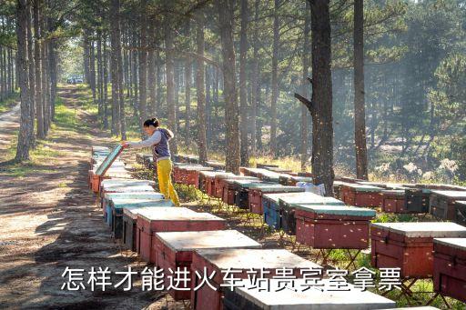高鐵貴賓休息室怎么進(jìn)，怎樣才能進(jìn)火車站貴賓室拿票