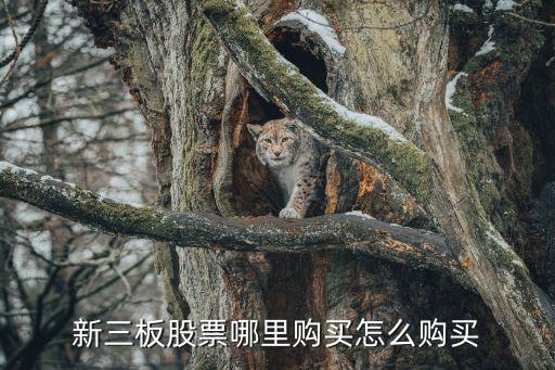 新三板股票該怎么買(mǎi)，新三板股票怎么買(mǎi)
