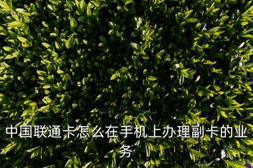 怎么辦電話副卡，聯(lián)通副卡怎么辦理
