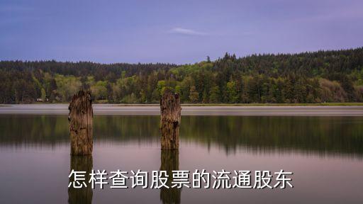 股轉(zhuǎn)A股東代碼怎么查詢，股東代碼怎樣查詢