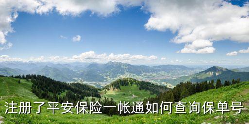 怎么在平安一帳通查保單，注冊(cè)了平安保險(xiǎn)一帳通如何查詢保單號(hào)
