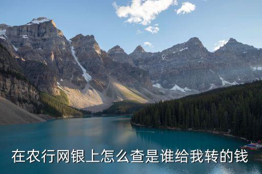 在農(nóng)行網(wǎng)銀上怎么查是誰(shuí)給我轉(zhuǎn)的錢(qián)