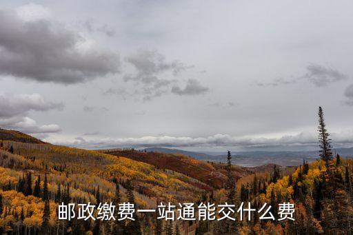 郵政繳費(fèi)一站通能交什么費(fèi)