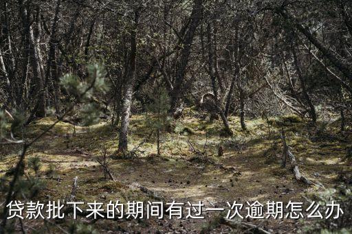 貸款批下來的期間有過一次逾期怎么辦