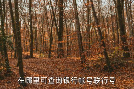 在哪里可查詢銀行帳號聯(lián)行號