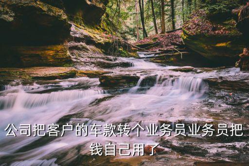 公司把客戶的車款轉(zhuǎn)個業(yè)務(wù)員業(yè)務(wù)員把錢自己用了