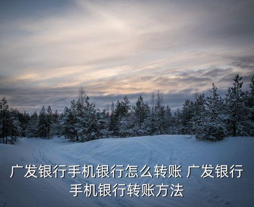 廣發(fā)慧存錢怎么轉(zhuǎn)出，怎樣才能把廣發(fā)的錢全部取出來