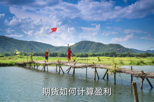 期貨收益怎么算，期貨的盈利的計算方法