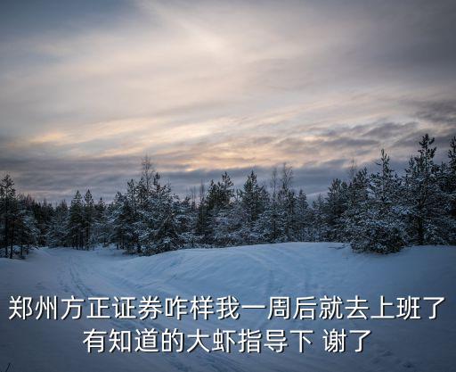 鄭州方正證券咋樣我一周后就去上班了有知道的大蝦指導(dǎo)下 謝了