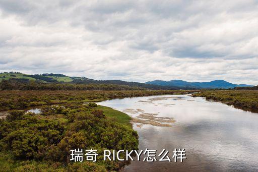 瑞奇 RICKY怎么樣
