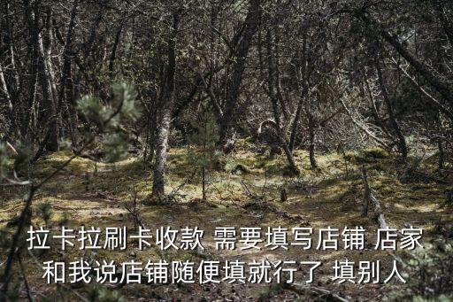 拉卡拉刷卡收款 需要填寫店鋪 店家和我說店鋪隨便填就行了 填別人
