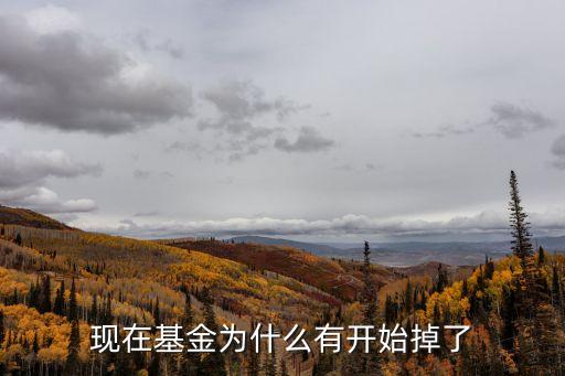 現(xiàn)在基金為什么有開始掉了