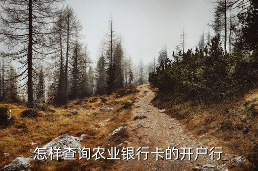 農(nóng)行開戶行網(wǎng)點怎么查，怎樣查詢農(nóng)業(yè)銀行卡的開戶行