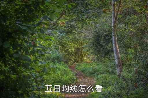 五日均線怎么看
