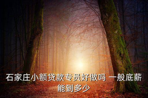 石家莊貸款工作怎么樣，石家莊的匯豐源和匯海貸款哪個的待遇好啊有知道的給說說謝謝